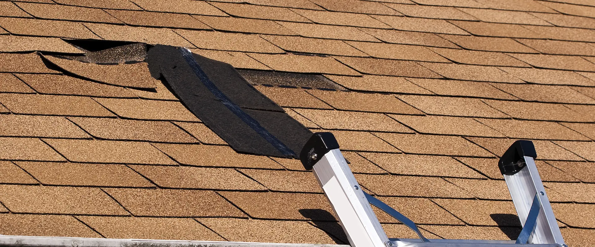 damaged shingle roof with leak
